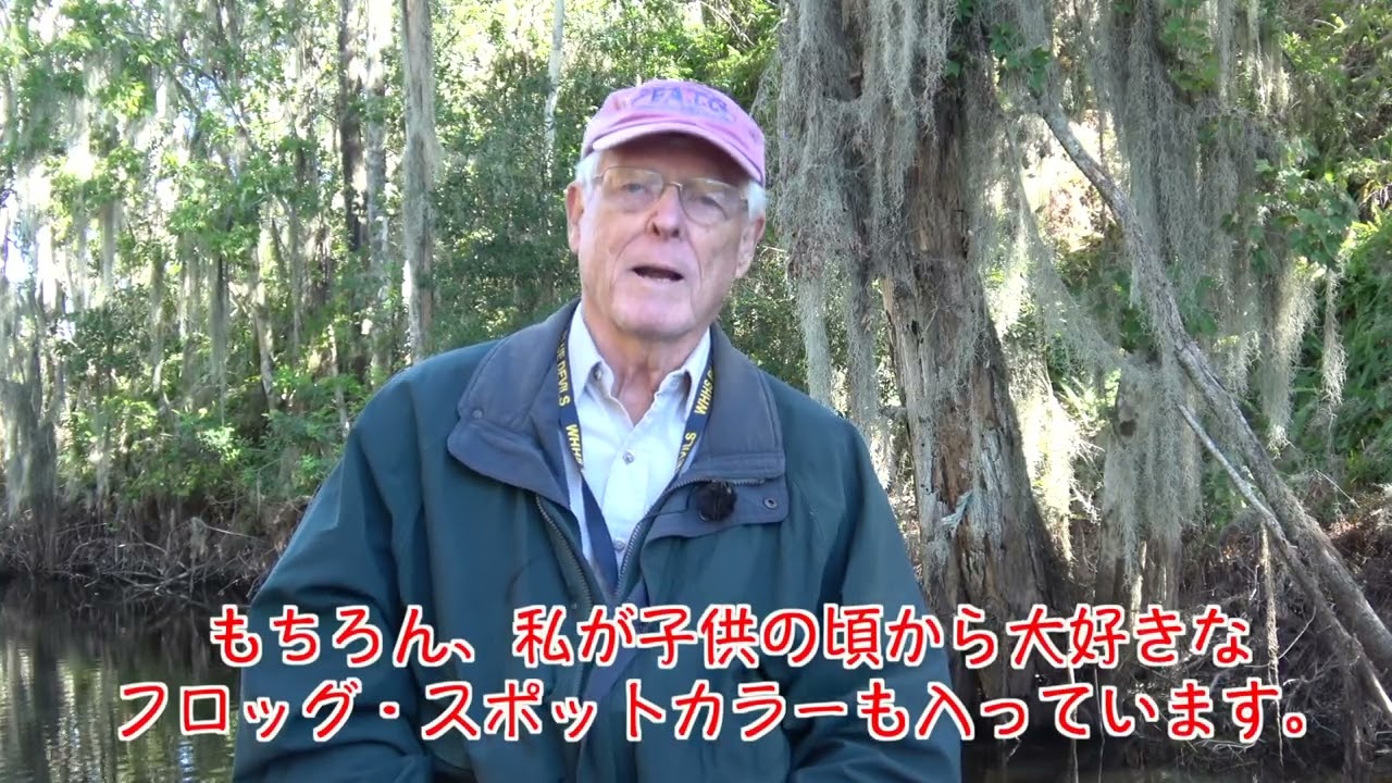 Heddon Chuck Heddon vintage collection Baby Torpedo