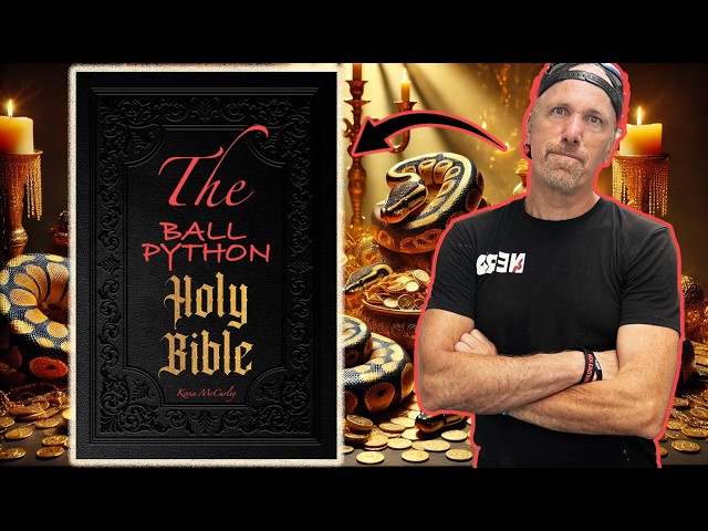 THE Ball Python Bible - YouTube