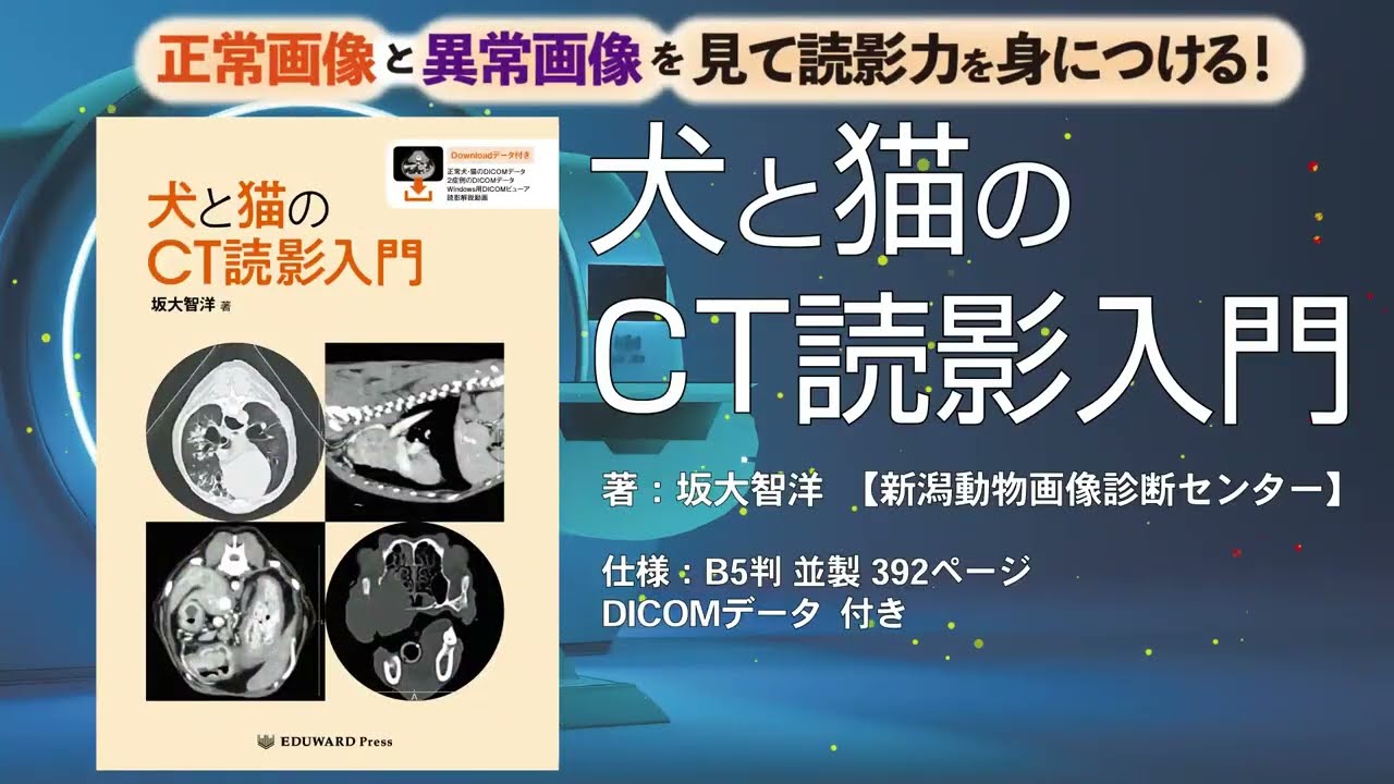 maxresdefault.jpg?sqp=-