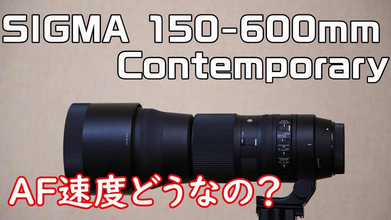 I bought the SIGMA 150-600mm F5-6.3DG OS HSM Contemporary, but I'm