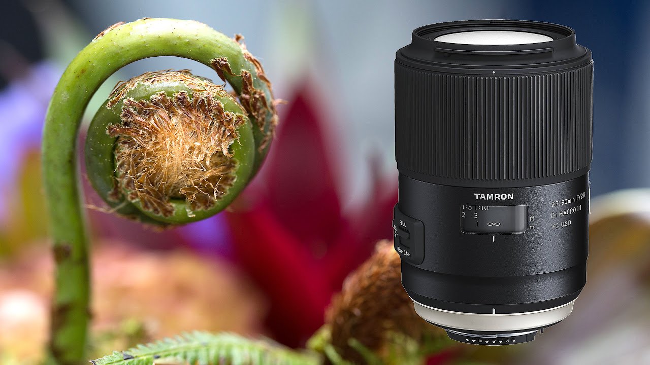 Tamron SP 90mm MACRO f2.8 Di VC USD - YouTube
