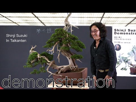 4K] 鈴木伸二 氏 盆栽デモンストレーション in 第44回日本盆栽大観展