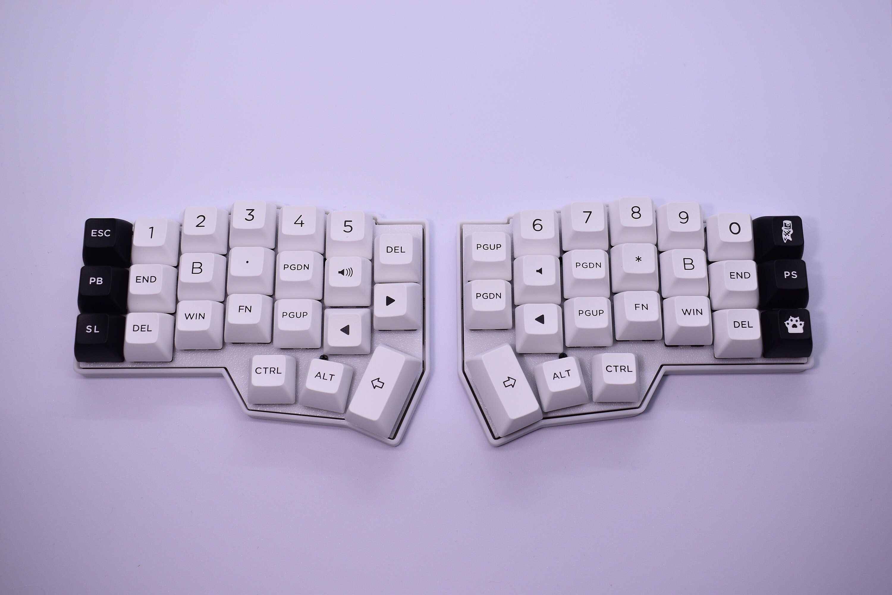 Corne v4キーボード。プリビルド済みの分割エルゴノミックRGB