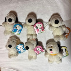 Daisy Hill Puppies | eBay