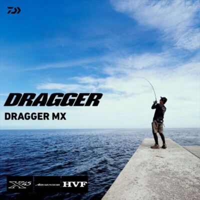 Daiwa Shore Jigging Rod Dragger MX 96MH (Spinning 2 piece) | eBay