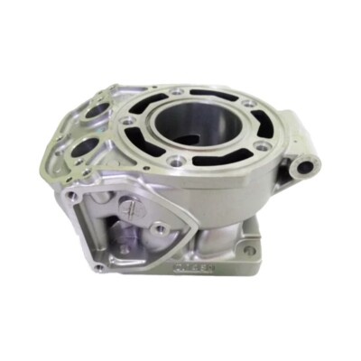 Genuine For Kawasaki Kr150 KRR ZX150 Cylinder Block P/N: 11005