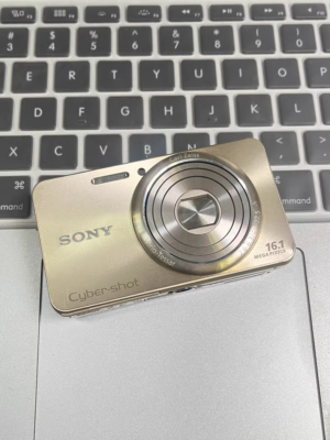 Sony Cyber-shot DSC-W570 Compact Digital Camera -CHAMPAGNE Gold | eBay