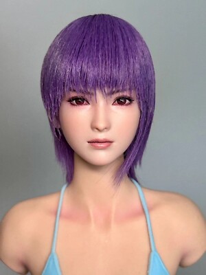 custom 1/6 dead or alive Ayane head need、 120days | eBay
