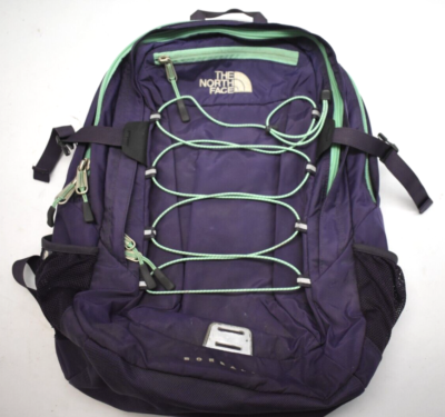 The North Face Borealis School Laptop Backpack Purple & Teal CE86