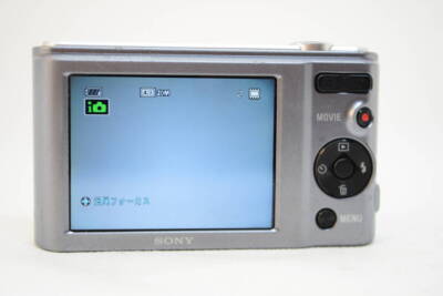 Sony Cyber-shot DSC-W810 20.1MP Compact Digital Camera -Silver