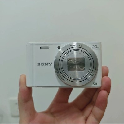 SONY Cyber-shot DSC-WX350 18.2 MP 20x Digital Zoom Digital Camera