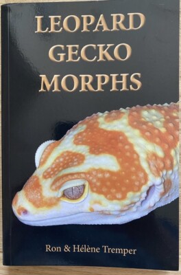 Leopard Gecko Morphs And Leopard Geckos The Next Generation By Ron