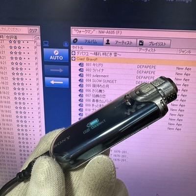 Sony NW-A605 Walkman MP3 Player 512MB Blue Fully Tested Working | eBay