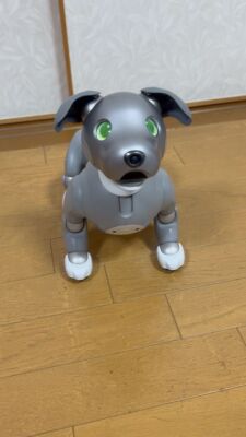 □op0419□sony□aibo□aibo□ERS-210□ジャンク品□ Sony