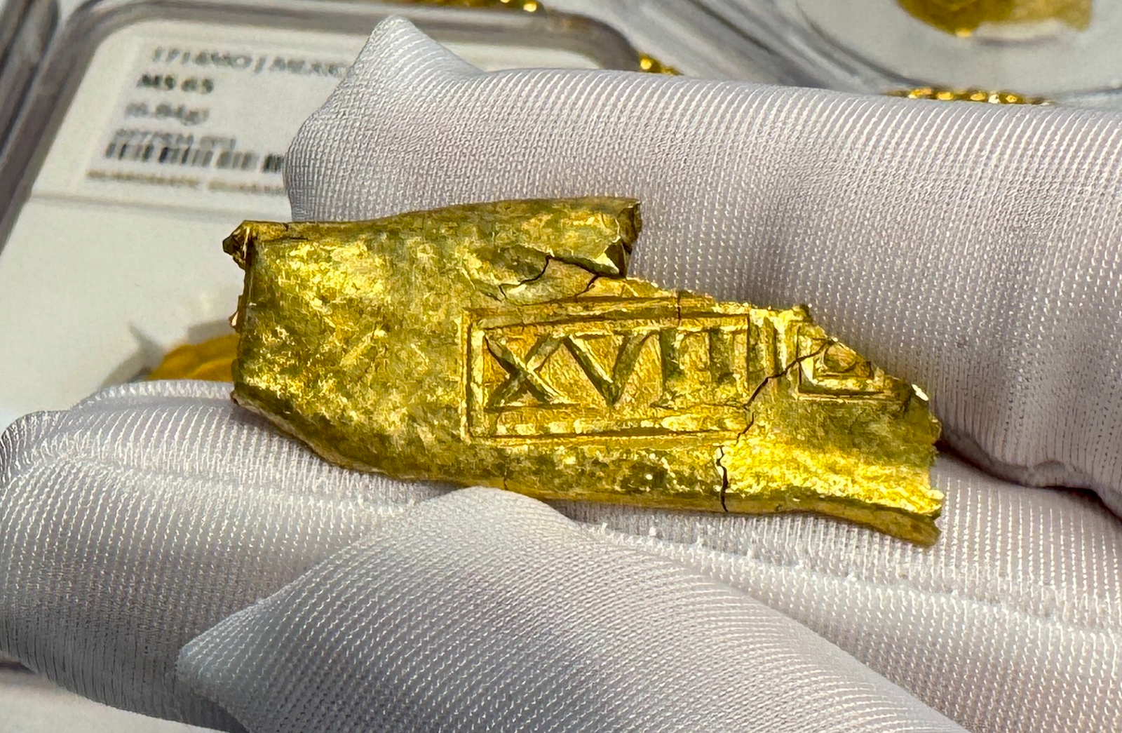 $_57.PNG?set_id=880000500F