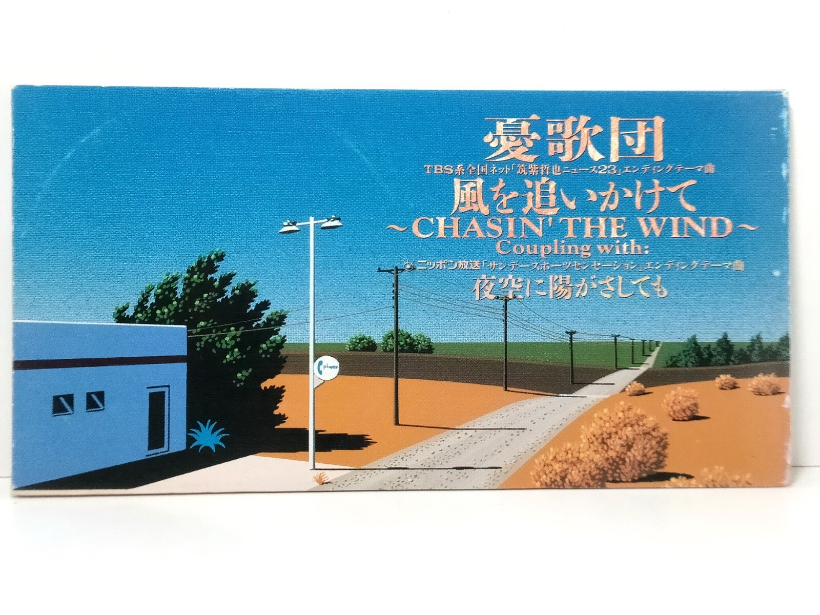 憂歌団 Yukadan Chasin' The Wind~ WPD6-9026, 純愛だけど朝帰り WPDL