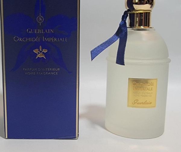 20240724120305a_600.jpg?v=