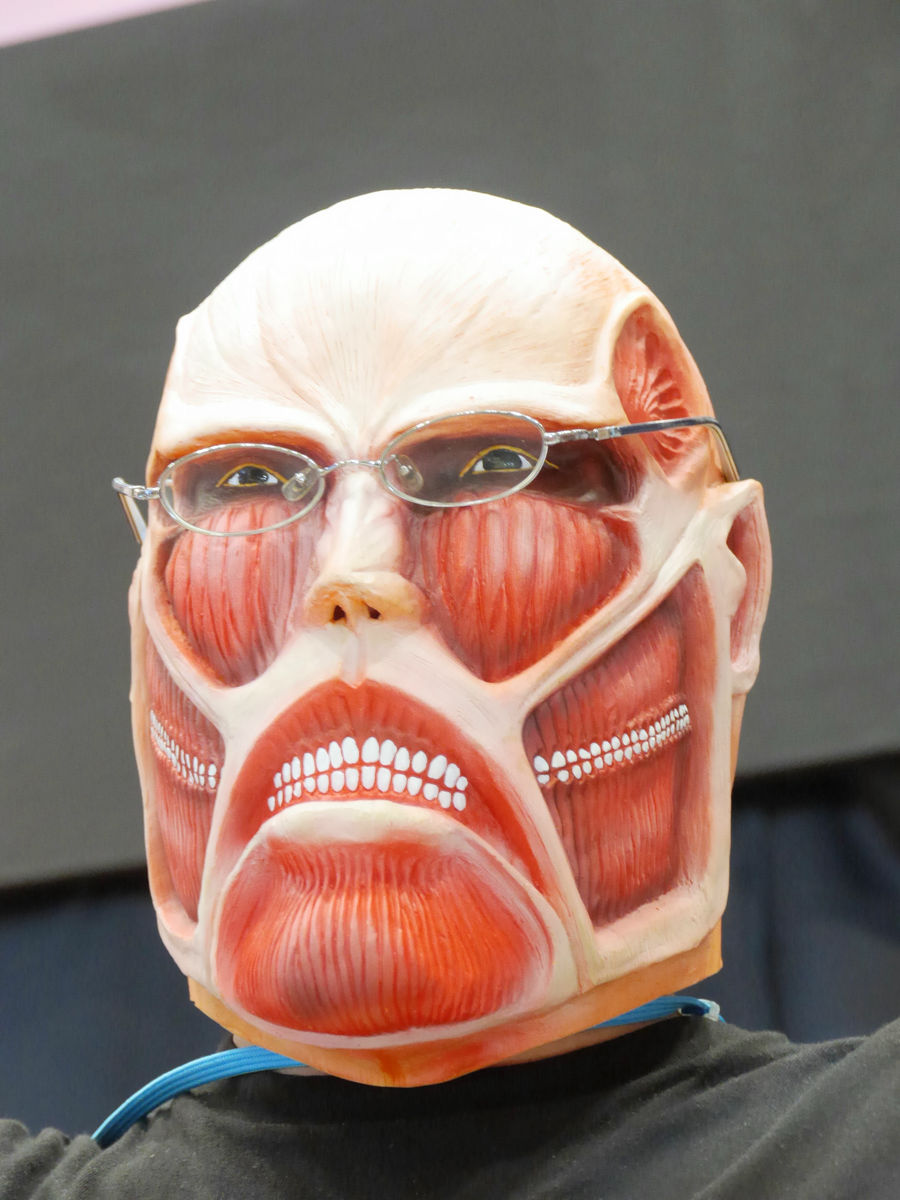 進撃の巨人」の「超大型巨人ゴムマスク」を着用すると一体どうなるかが