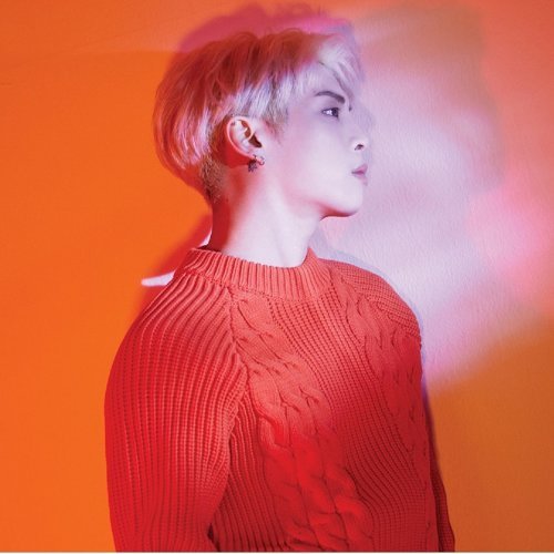 山荷葉 (Diphylleia grayi)-歌詞-鐘鉉 (JONGHYUN)-KKBOX