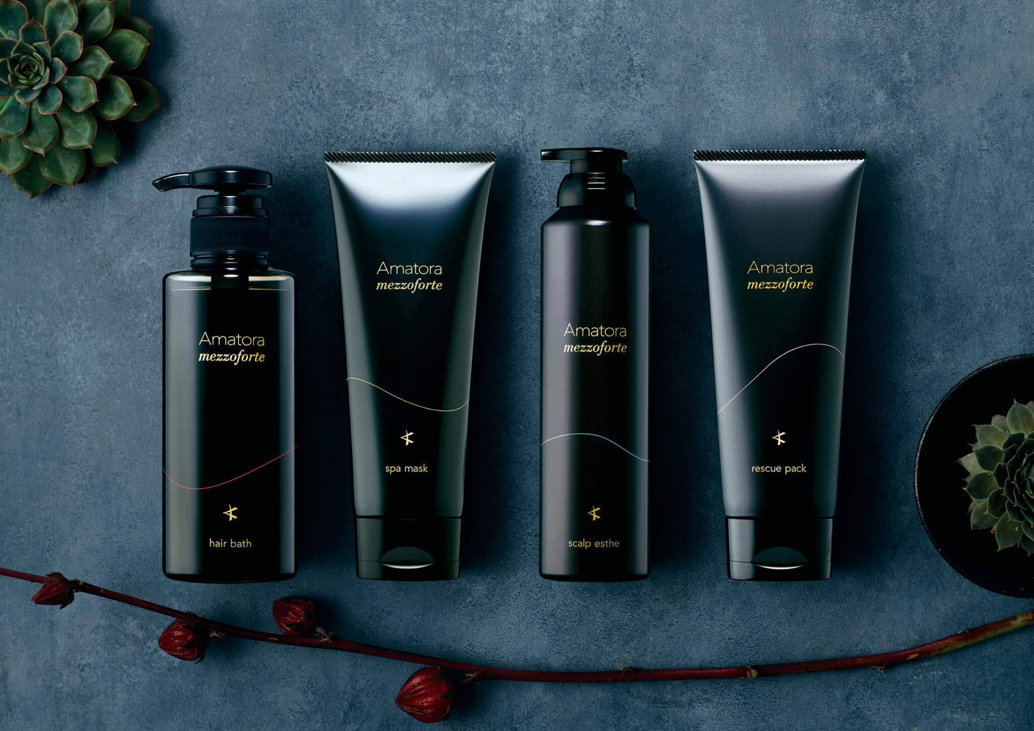 アマトラメゾフォルテ – doc.