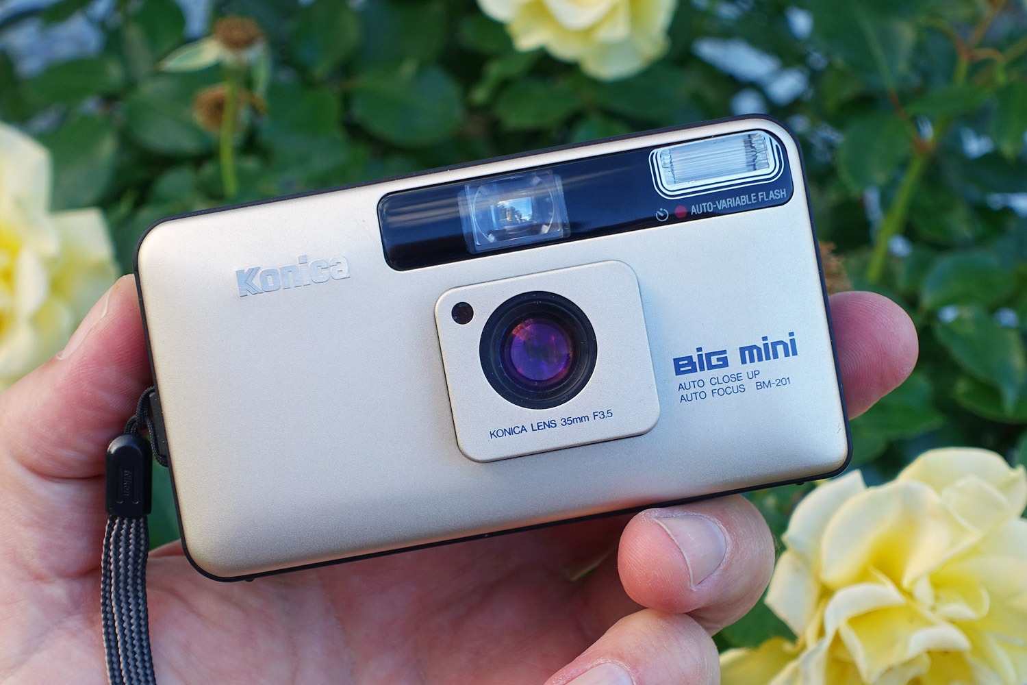 Compact camera mega test: The Konica Big Mini's transparent