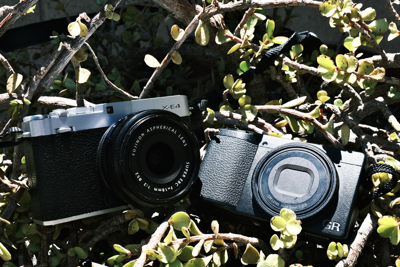 Ricoh GR IV not coming soon …and why that's good | FUJI X WEEKLY