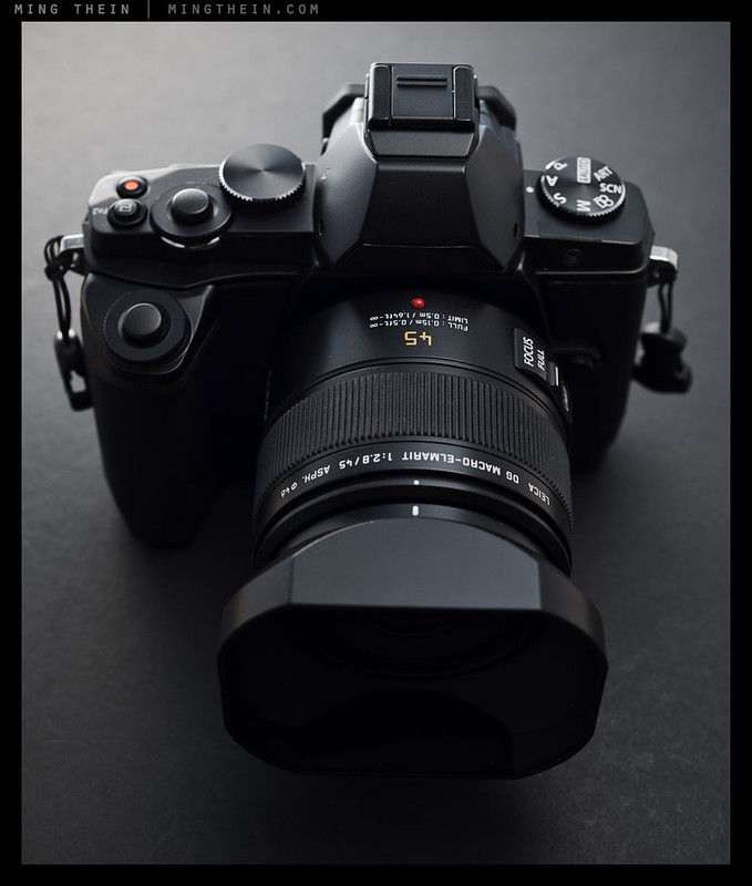 Review: The Panasonic Leica 45/2.8 Macro-Elmarit for Micro Four