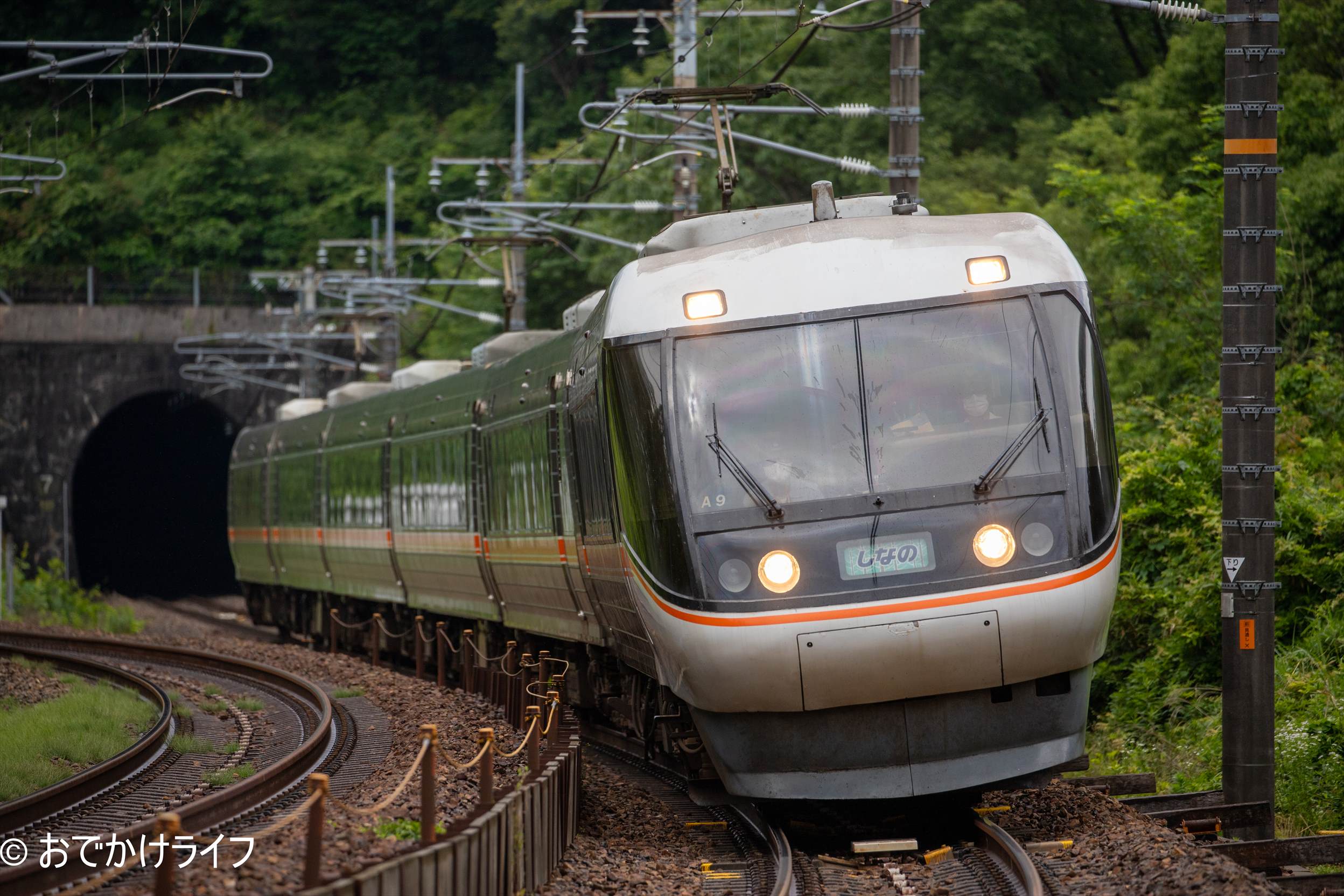 JR東海 383系 特急「しなの」 | おでかけライフ