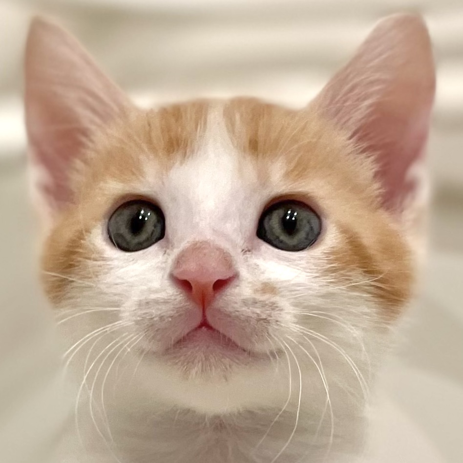 IMG_5619.jpg?fit=948,948&ssl=1