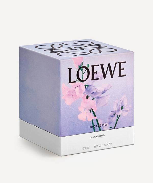 Loewe Medium Luscious Pea Candle 610g | Liberty