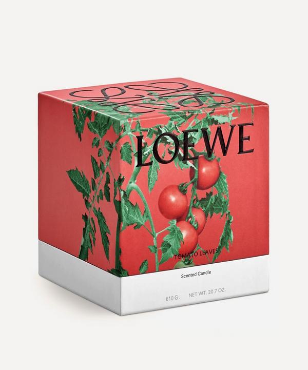 Loewe Medium Tomato Leaves Candle 610g | Liberty