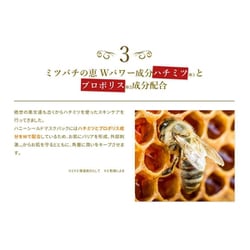 ヨドバシ.com - リジェン ReGen Re Gen ハニーシールドマスクパック 1