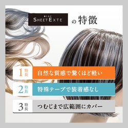 ヨドバシ.com - シートエクステ SHEET EXTE SHEET EXTE ピンクシルバー