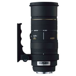 ヨドバシ.com - シグマ SIGMA APO 50-500mm F4-6.3 EX DG/HSM [ニコン