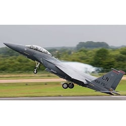 技mix アメリカ空軍 F-15E 第494戦闘飛行隊(レイクンヒース) ヨドバシ