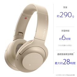 ヨドバシ.com - ソニー SONY ワイヤレスノイズキャンセリングステレオ