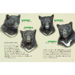 ヨドバシ.com - 月刊 たくさんのふしぎ 2024年 11月号 [雑誌] 通販