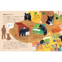 ヨドバシ.com - 月刊 たくさんのふしぎ 2024年 11月号 [雑誌] 通販