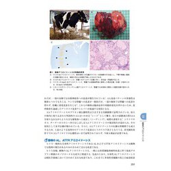 ヨドバシ.com - アミロイドーシス診療ガイドライン〈2025〉 [単行本