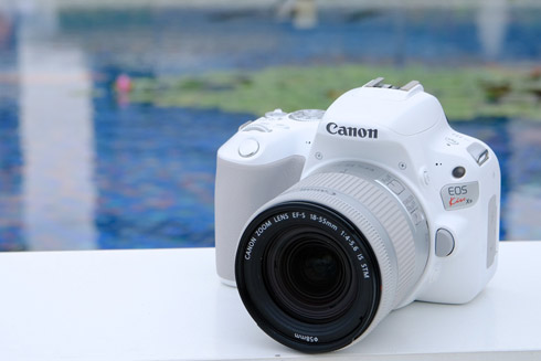 廉価なEOSというより“徹底した入門機”、キヤノン「EOS Kiss X9」（3/3