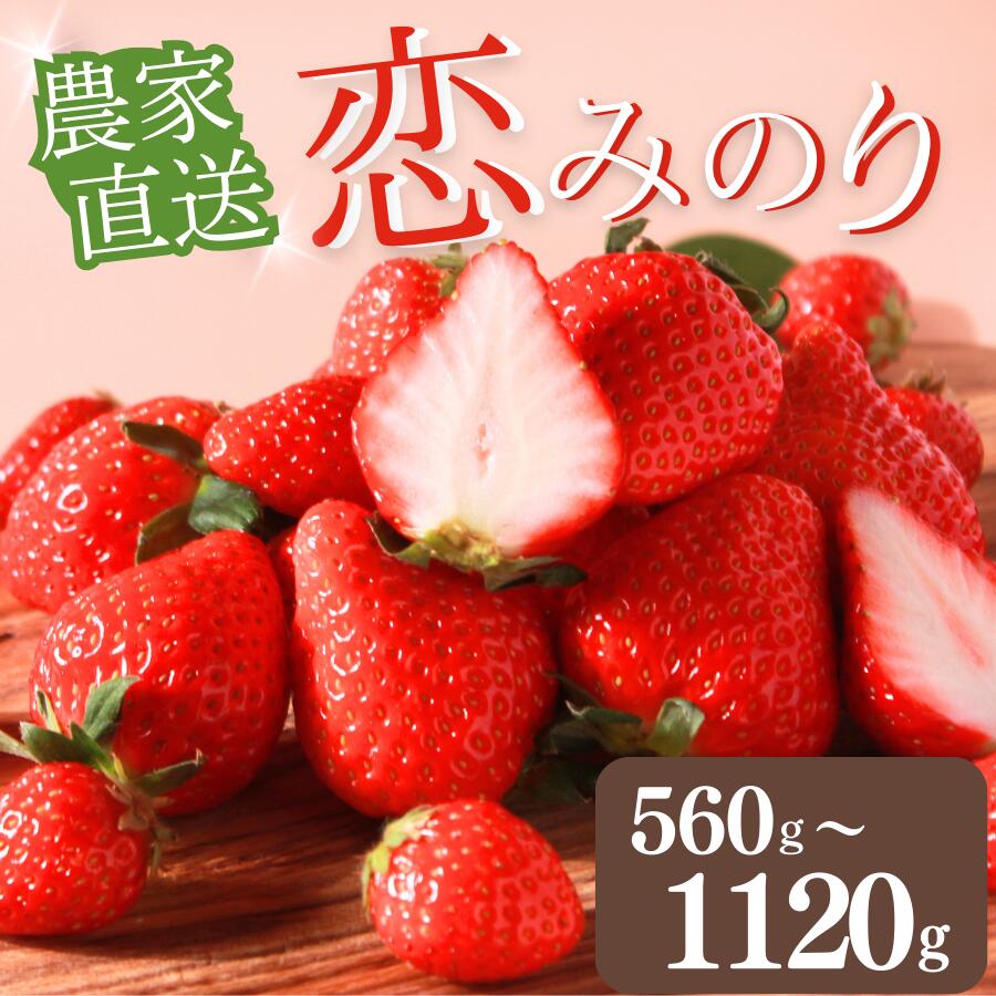 楽天市場】【ふるさと納税】完熟いちご恋みのり 選べる2パック/4パック