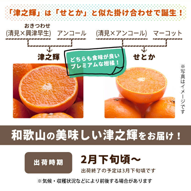 楽天市場】特選 津之輝 送料無料 1kg ～ 10kg サイズ混合 津の輝き