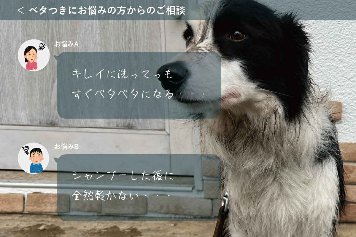 楽天市場】【アジル】オイリーコントロールシャンプー 低刺激性