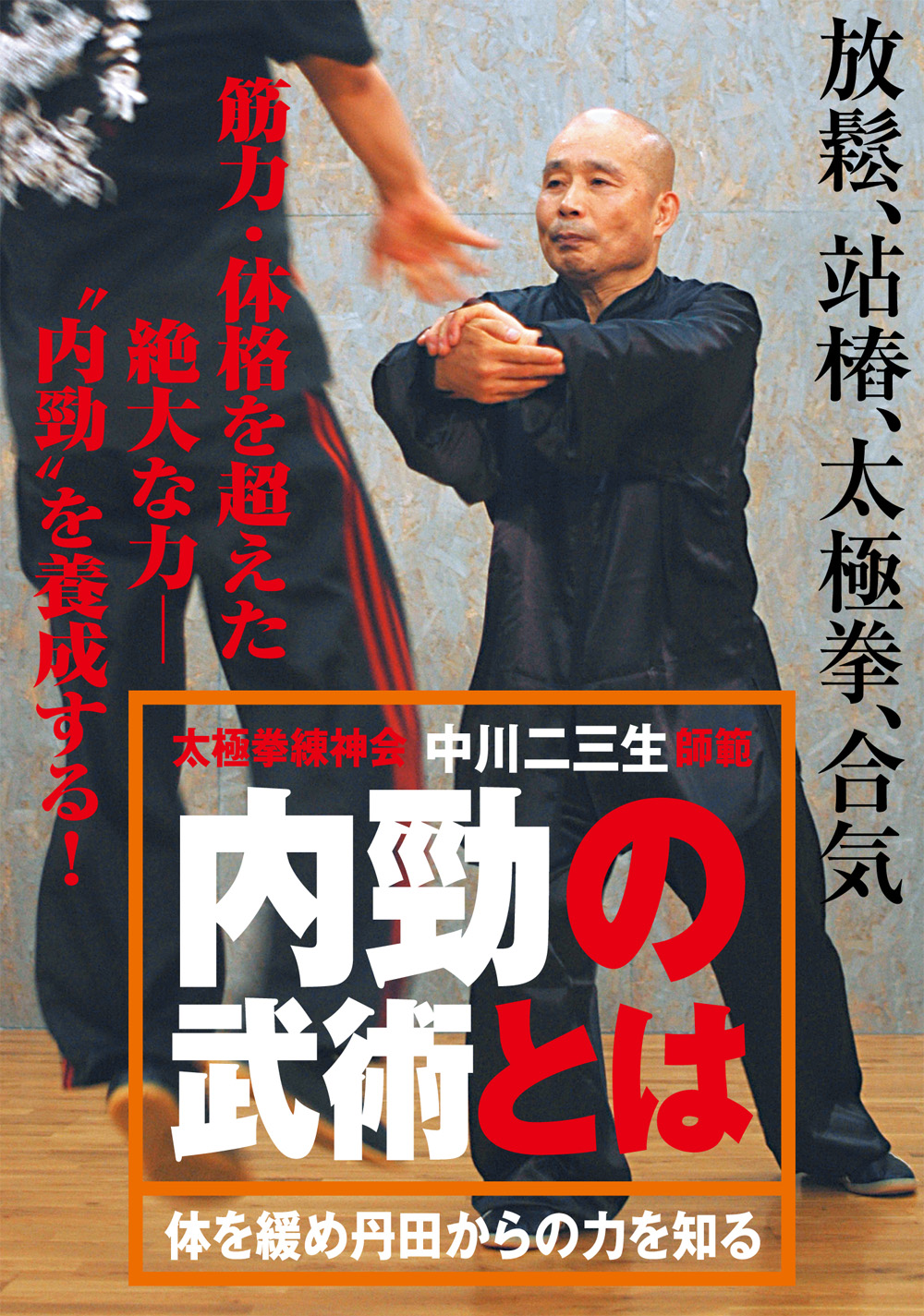 DVD2巻セット 『内勁の武術とは』（通販限定）