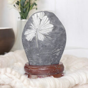 菊花石 No.264 【鑑賞用鉱石】高さ:約17cm 幅:約13cm 重さ:約2.2kg