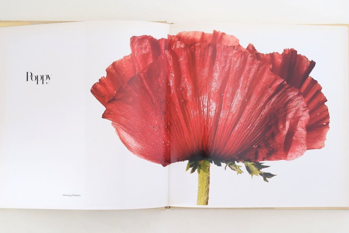 FLOWERS IRVING PENN | 誠光社 通信販売