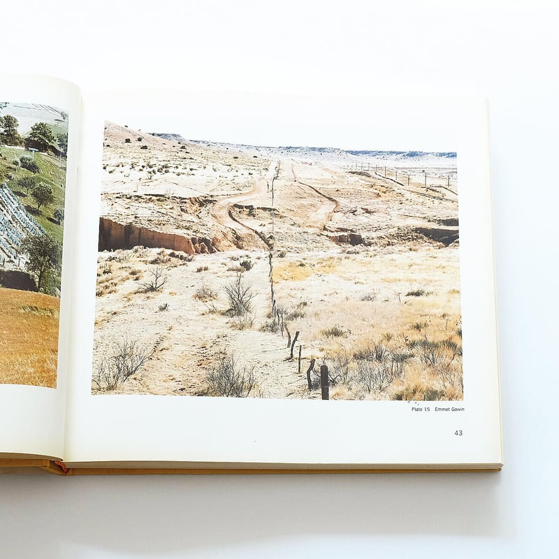 The New Color Photography | Book Ernest