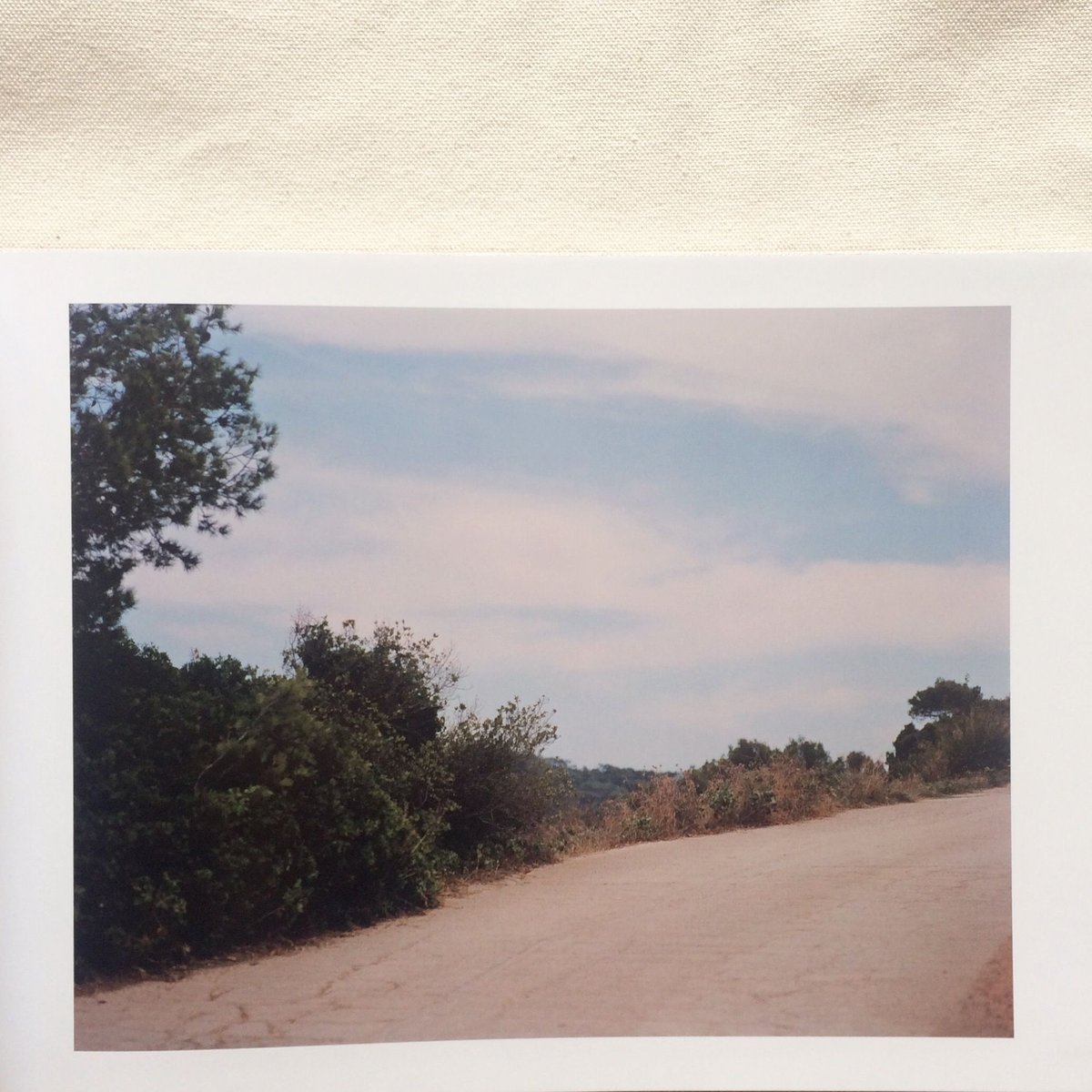 鈴木理策｜知覚の感光板 | 曲線