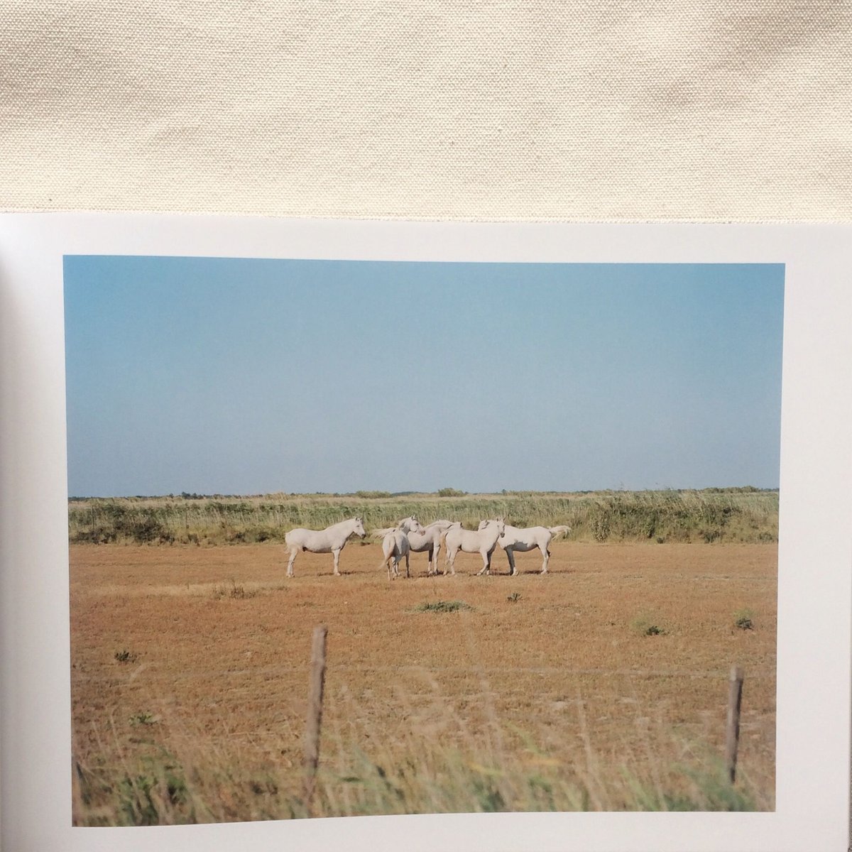 鈴木理策｜知覚の感光板 | 曲線