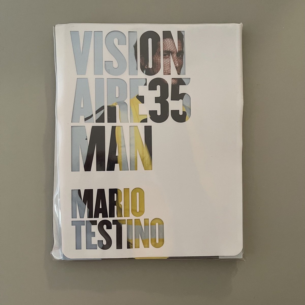 mario testino 洋書写真集 Mario Testino:Any Objections?/写真 作品集